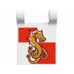 Amonkhet - 74 - Vizier of Many Faces - Rare - U - Foil