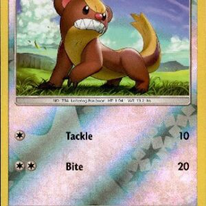 Sun & Moon - 109/149 - Yungoos - Reverse Holo