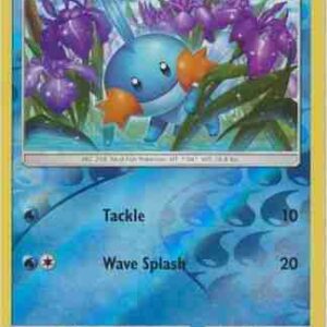 Celestial Storm - 033/168 - Mudkip - Reverse Holo