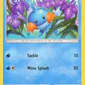 Celestial Storm - 033/168 - Mudkip