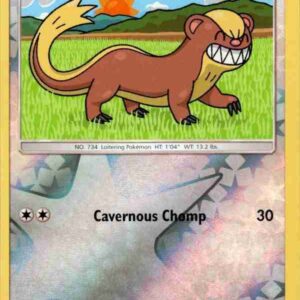Unified Minds - 180/236 - Yungoos - Reverse Holo
