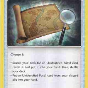 Forbidden Light - 107/131 - Fossil Excavation Map