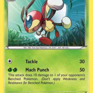 XY Base - 007/146 - Ledian