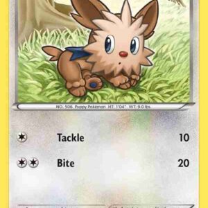 XY Base - 108/146 - Lillipup
