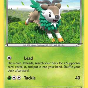 XY Base - 018/146 - Skiddo