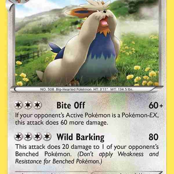 XY Base - 110/146 - Stoutland - Rare
