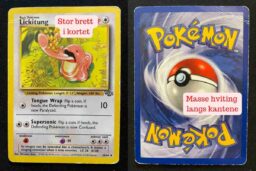 Dominaria United - 141 - Radha's Firebrand - Rare - R - Foil