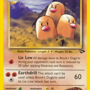 Gym Challenge - 022/132 - Brock's Dugtrio - Rare