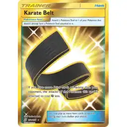 Unified Minds - 252/236 - Karate Belt