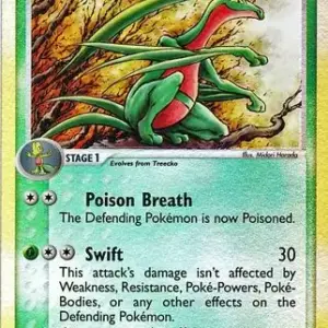 EX Ruby & Sapphire - 031/109 - Grovyle - Reverse Holo