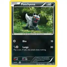 XY Phantom Forces - 053/119 - Poochyena