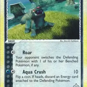 EX Team Magma vs Team Aqua - 55/95 - Team Aqua's Poochyena
