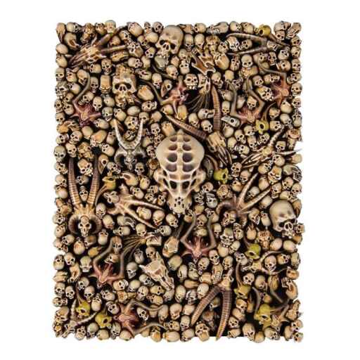 Alternative view of Warhammer Citadel Skulls