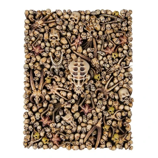 Alternative view of Warhammer Citadel Skulls