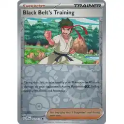 Journey Together - 144/159 - Black Belt's Training - Reverse Holo