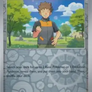 Journey Together - 146/159 - Brock's Scouting - Reverse Holo