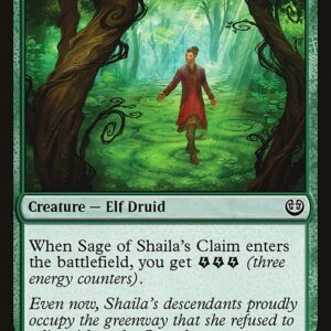 Kaladesh - 168 - Sage of Shaila's Claim - Common - G - Non-foil (Front)