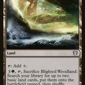 Midnight Hunt Commander - 166 - Blighted Woodland - Uncommon - C - Non-foil (Front)
