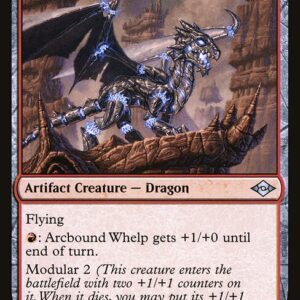 Modern Horizons 2 - 113 - Arcbound Whelp - Uncommon - R - Foil