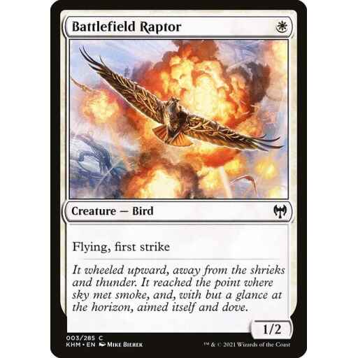 Kaldheim - 3 - Battlefield Raptor - Common - W - Foil