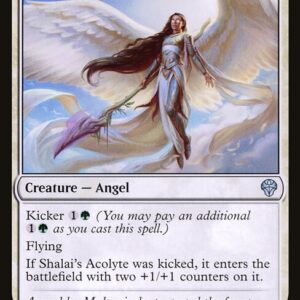 Dominaria United - 33 - Shalai's Acolyte - Uncommon - W - Non-foil
