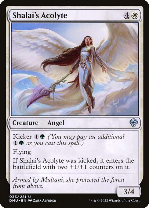 Dominaria United - 33 - Shalai's Acolyte - Uncommon - W - Non-foil