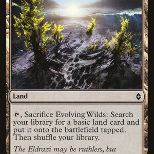 Battle for Zendikar - 236 - Evolving Wilds - Common - C - Non-foil