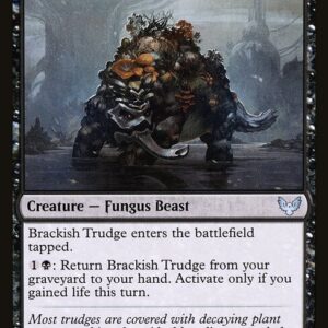 Strixhaven: School of Mages - 65 - Brackish Trudge - Uncommon - B - Non-foil