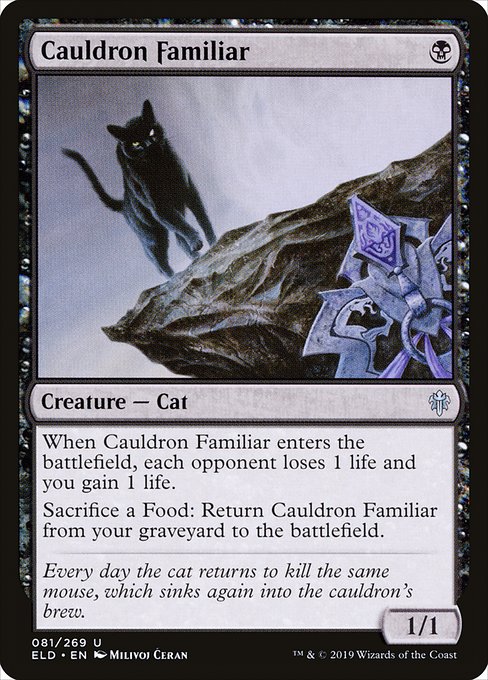 Throne of Eldraine - 81 - Cauldron Familiar - Uncommon - B - Non-foil