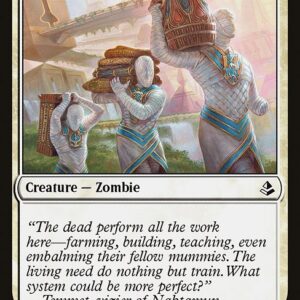 Amonkhet - 32 - Those Who Serve - Common - W - Non-foil
