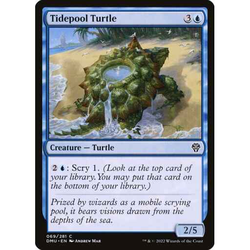 Dominaria United - 69 - Tidepool Turtle - Common - U - Foil