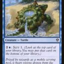Dominaria United - 69 - Tidepool Turtle - Common - U - Non-foil