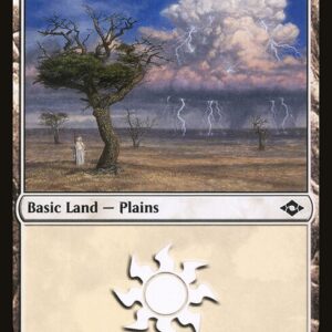 Modern Horizons 2 - 481 - Plains - Common - C - Non-foil
