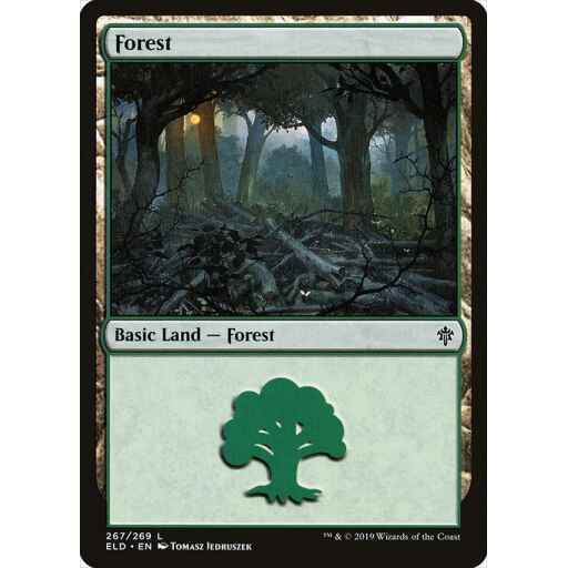 Throne of Eldraine - 267 - Forest - Common - C - Foil