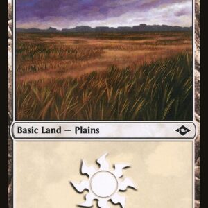 Modern Horizons 2 - 482 - Plains - Common - C - Non-foil