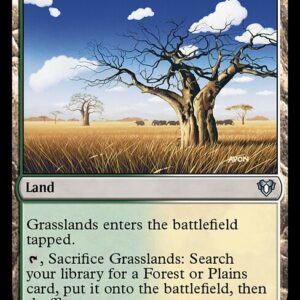 Commander Masters - 1002 - Grasslands - Uncommon - C - Non-foil