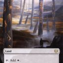 Kaldheim - 293 - Hengegate Pathway // Mistgate Pathway - Rare - C - Non-foil