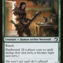Innistrad: Midnight Hunt - 169 - Bird Admirer // Wing Shredder - Common - C - Foil