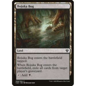 Commander 2020 - 259 - Bojuka Bog - Common - C - Non-foil (Front)