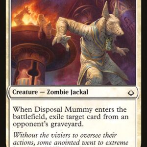 The List - HOU-9 - Disposal Mummy - Common - W - Non-foil (Front)