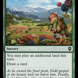 Bloomburrow Commander - 216 - Explore - Common - G - Non-foil (Front)
