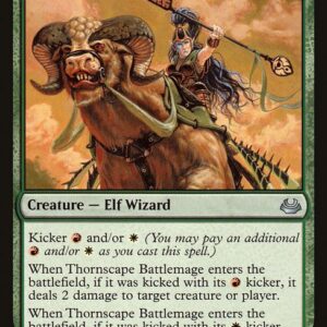 The List - MM3-142 - Thornscape Battlemage - Uncommon - G - Non-foil (Front)