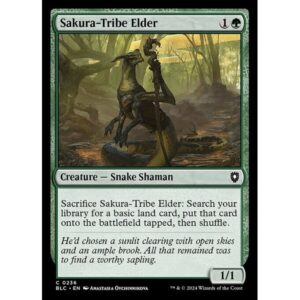Bloomburrow Commander - 236 - Sakura-Tribe Elder - Common - G - Non-foil (Front)