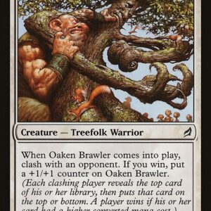 The List - LRW-33 - Oaken Brawler - Common - W - Non-foil (Front)