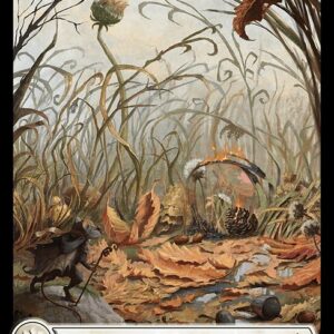 Bloomburrow - 264 - Plains - Common - C - Non-foil (Front)