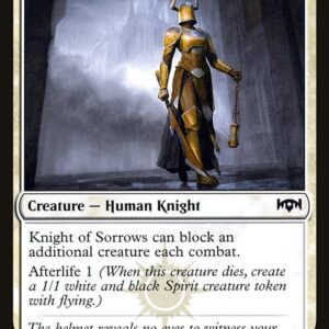 The List - RNA-14 - Knight of Sorrows - Common - W - Non-foil (Front)