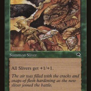 The List - TMP-238 - Muscle Sliver - Common - G - Non-foil (Front)
