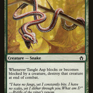 Fifth Dawn - 94 - Tangle Asp - Common - G - Non-foil (Front)