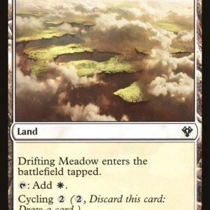 Commander 2020 - 271 - Drifting Meadow - Common - C - Non-foil (Front)
