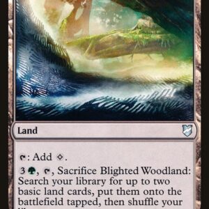 Commander 2018 - 236 - Blighted Woodland - Uncommon - C - Non-foil (Front)